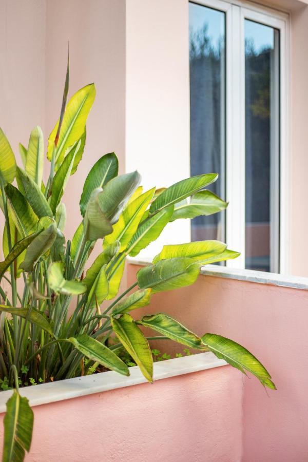 Aphrodite Studios & Apartment Bali  Экстерьер фото